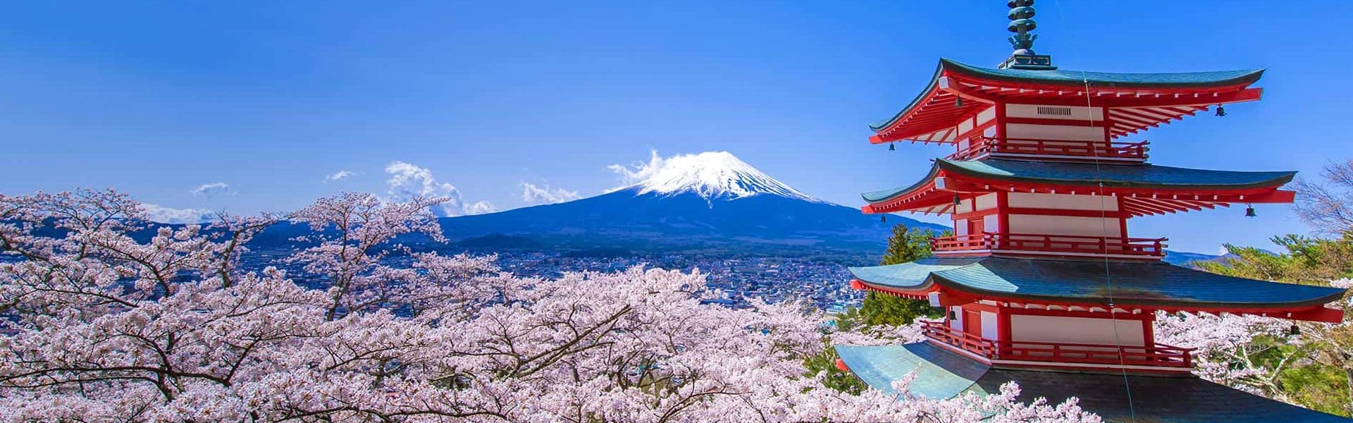 Xin visa đi Nhật Visa24h.vn Xin visa đi Nhật Visa24h.vn